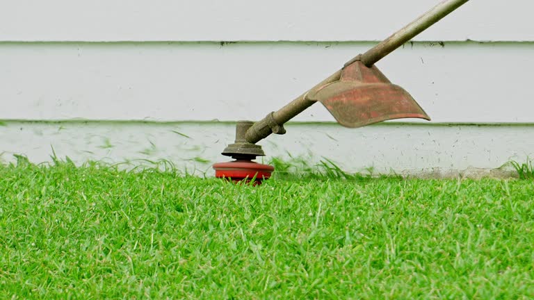 Grass Overseeding in Odon, IN